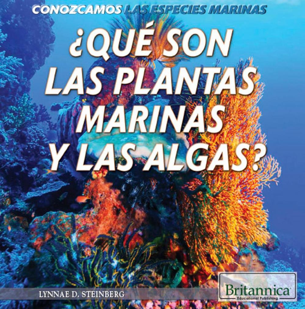 Big bigCover of ¿Qué son las plantas marinas y las algas? (What Are Sea Plants and Algae?)