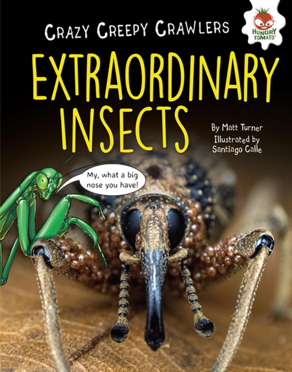 Big bigCover of Extraordinary Insects