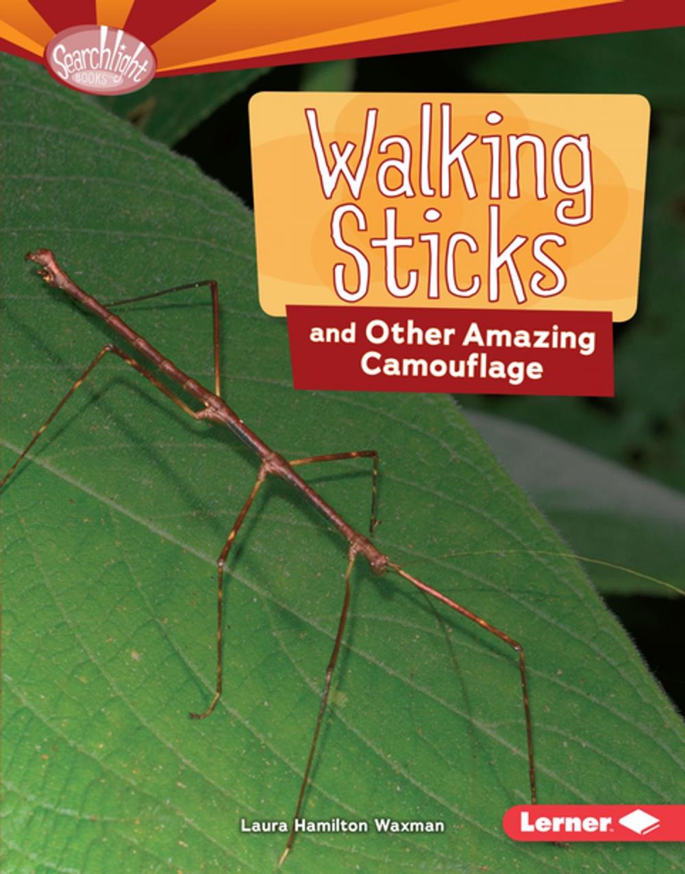 Big bigCover of Walking Sticks and Other Amazing Camouflage