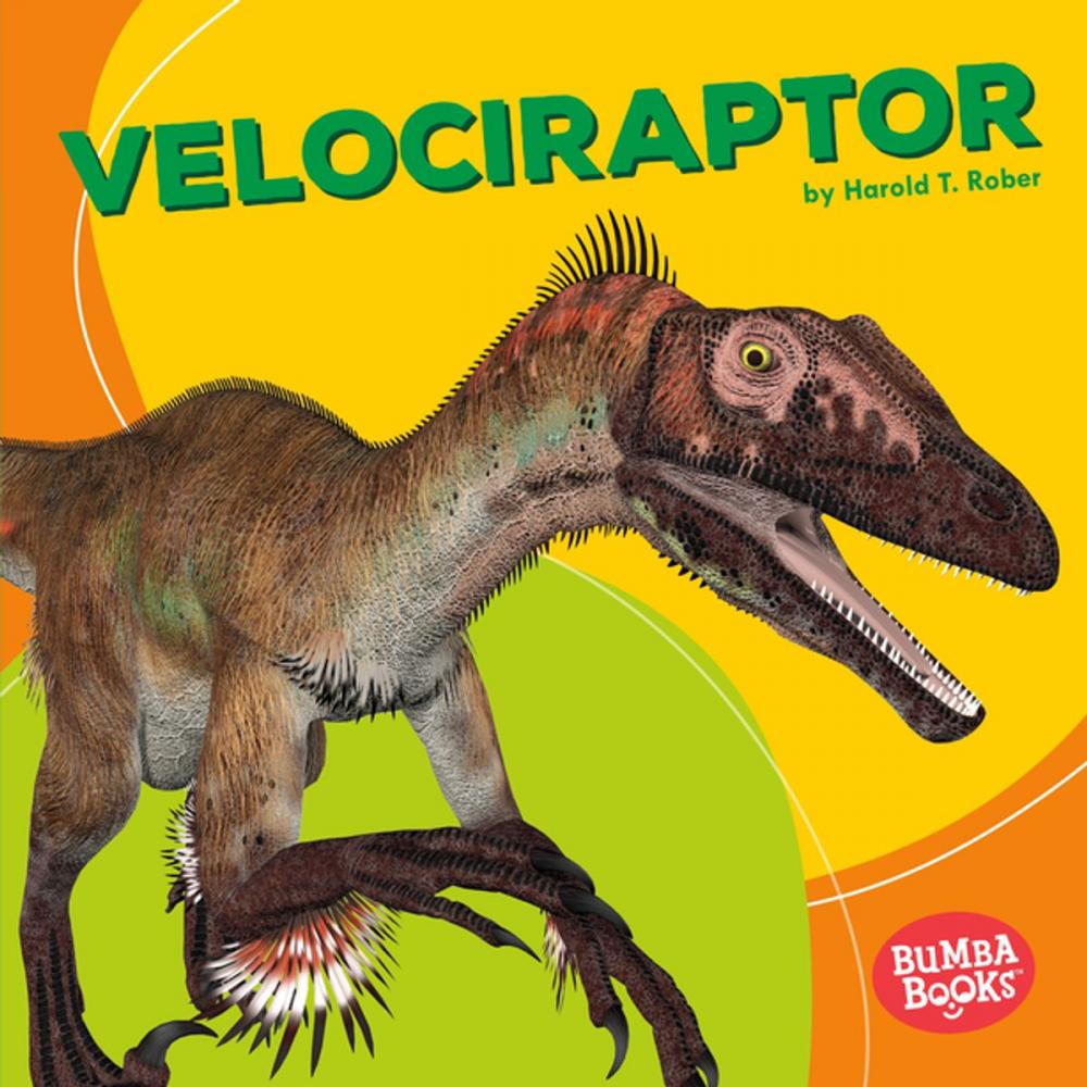 Big bigCover of Velociraptor