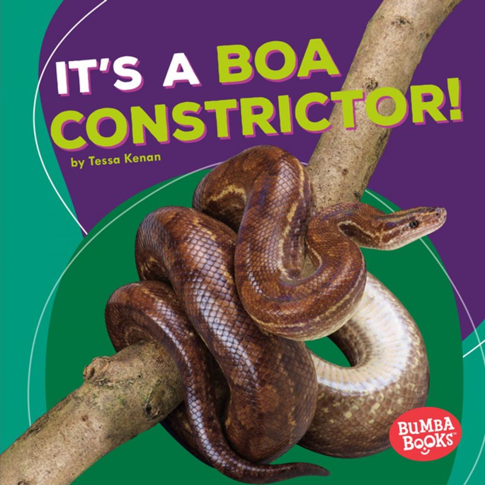 Big bigCover of It's a Boa Constrictor!