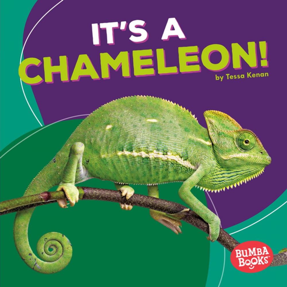 Big bigCover of It's a Chameleon!