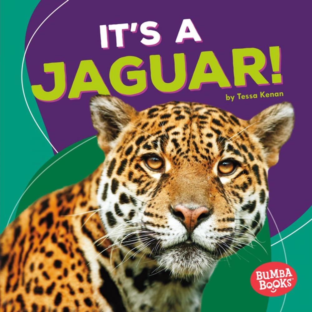 Big bigCover of It's a Jaguar!