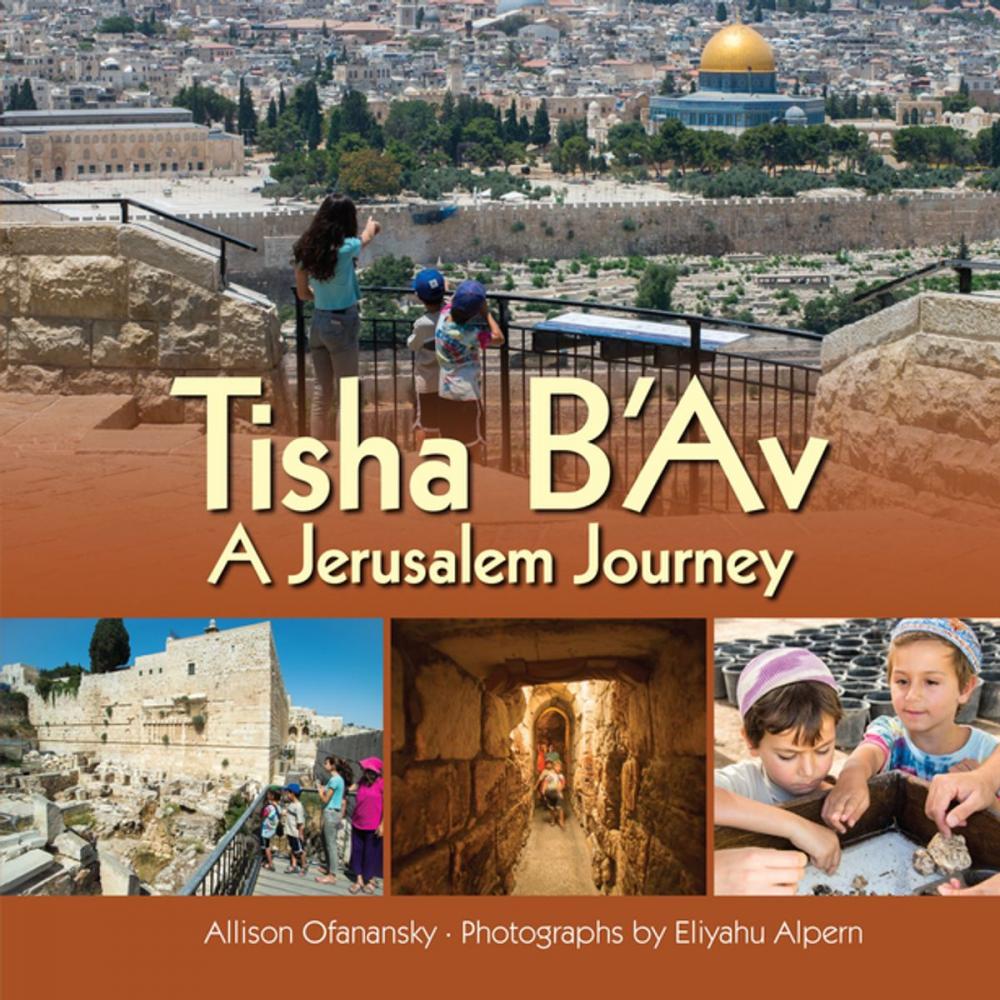 Big bigCover of Tisha B'Av