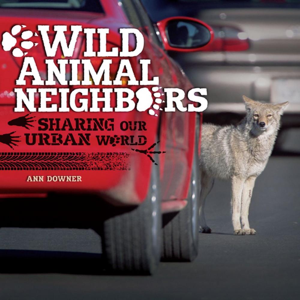 Big bigCover of Wild Animal Neighbors