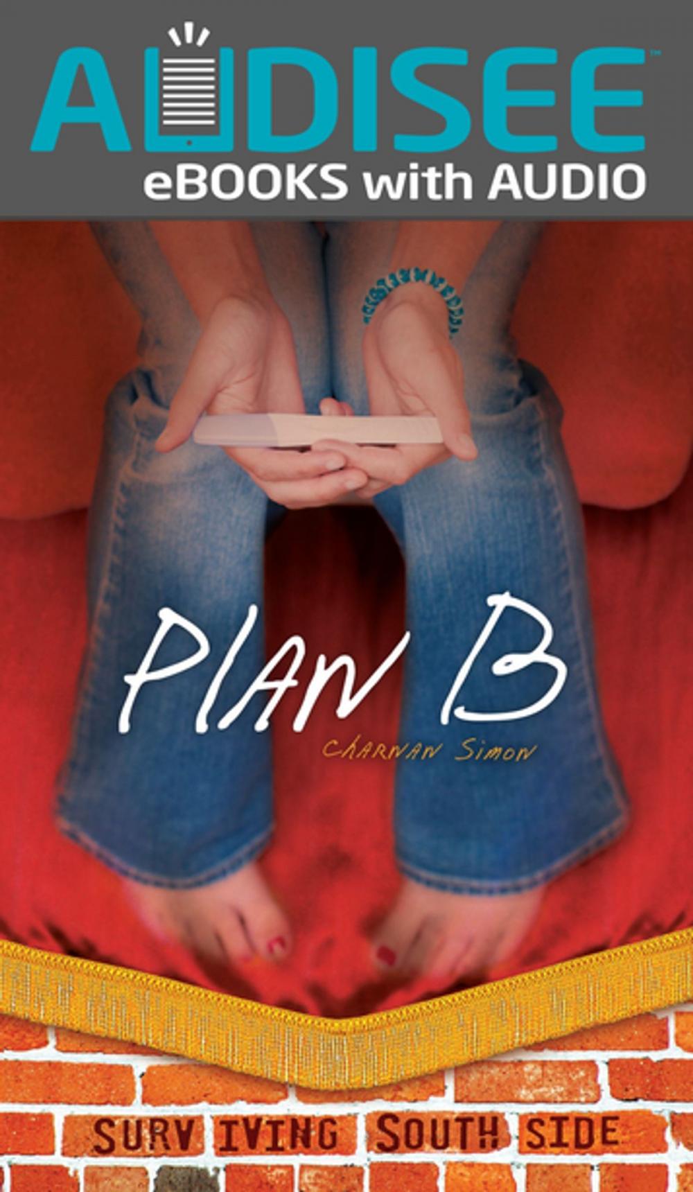 Big bigCover of Plan B