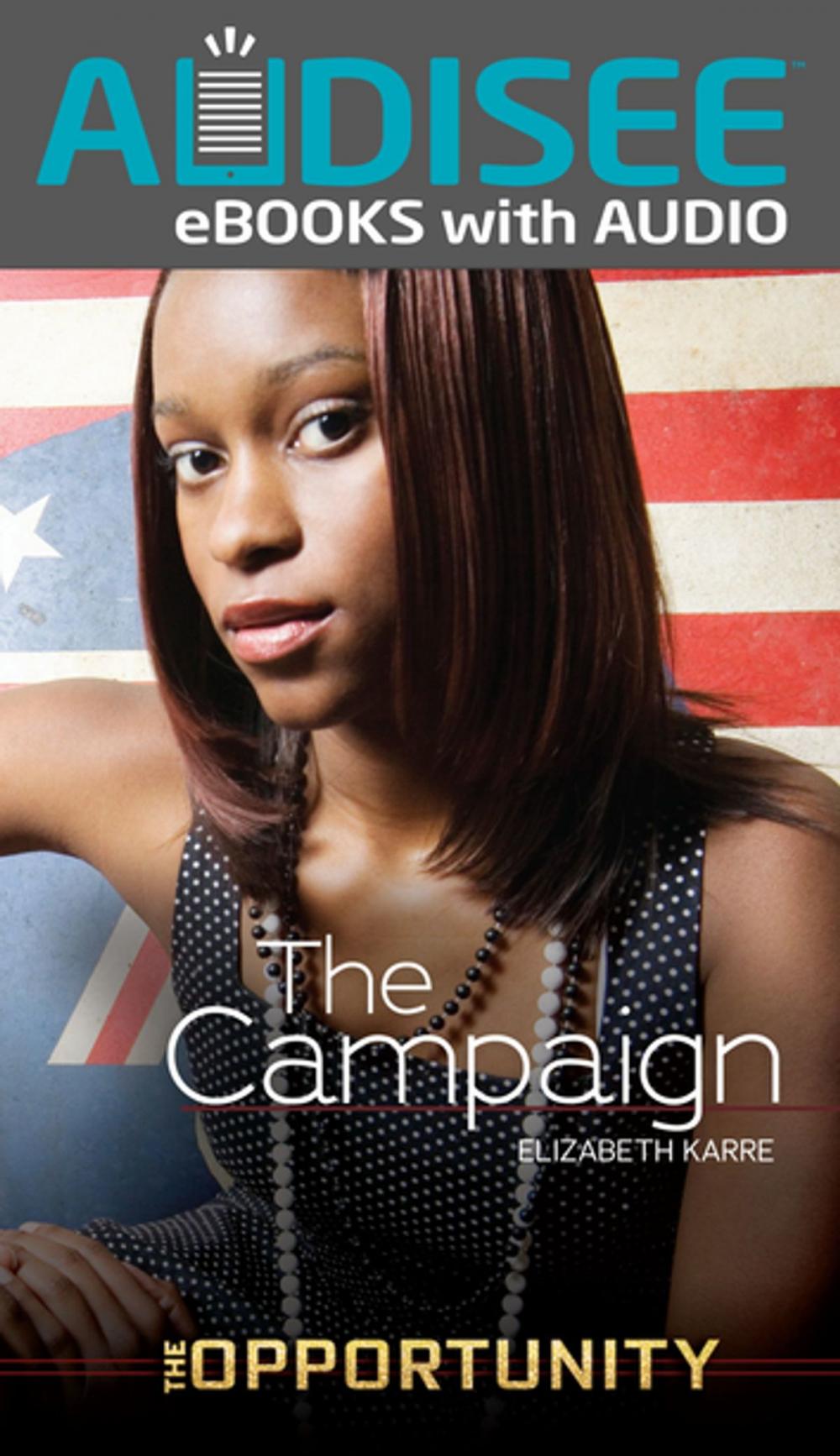 Big bigCover of The Campaign