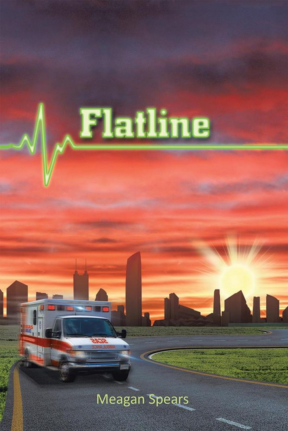 Big bigCover of Flatline