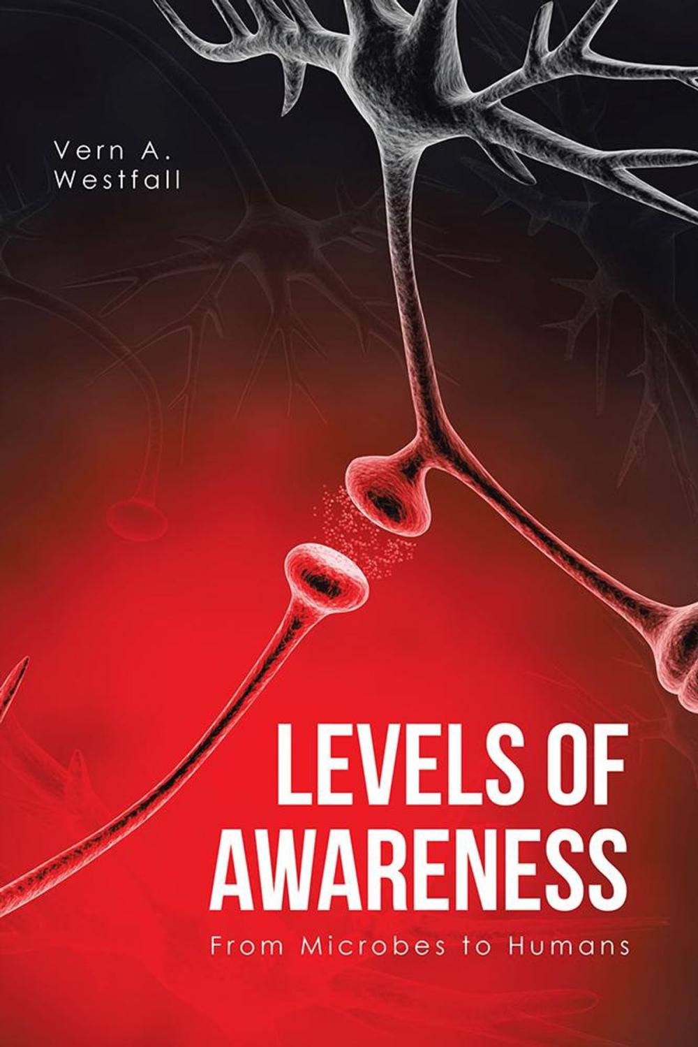 Big bigCover of Levels of Awareness