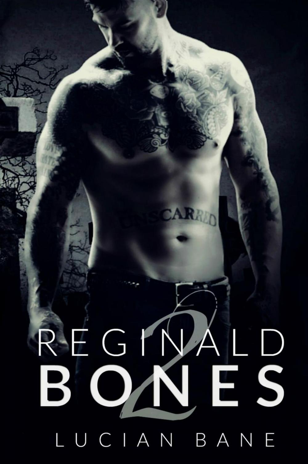 Big bigCover of Reginald Bones 2