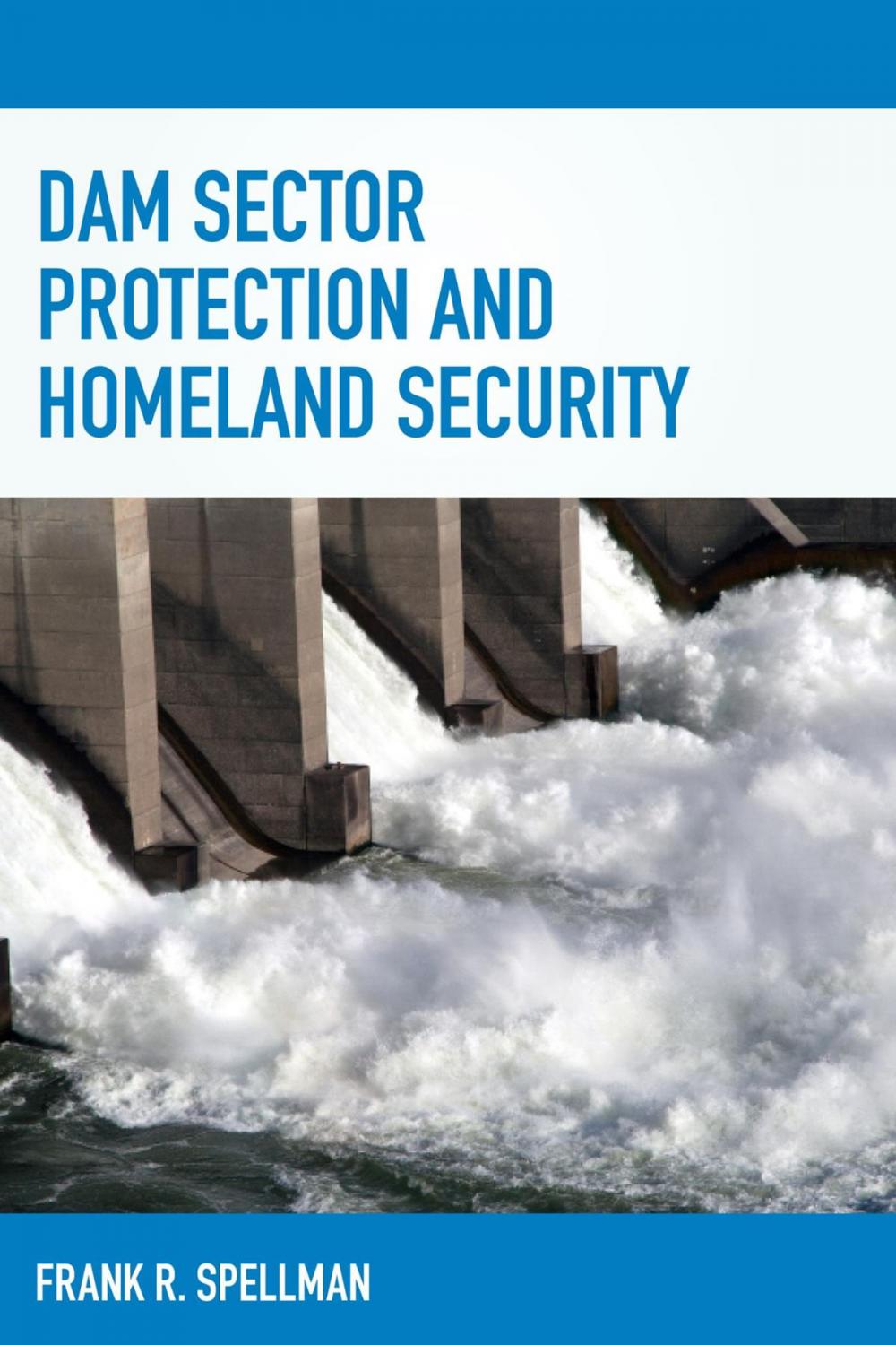 Big bigCover of Dam Sector Protection and Homeland Security