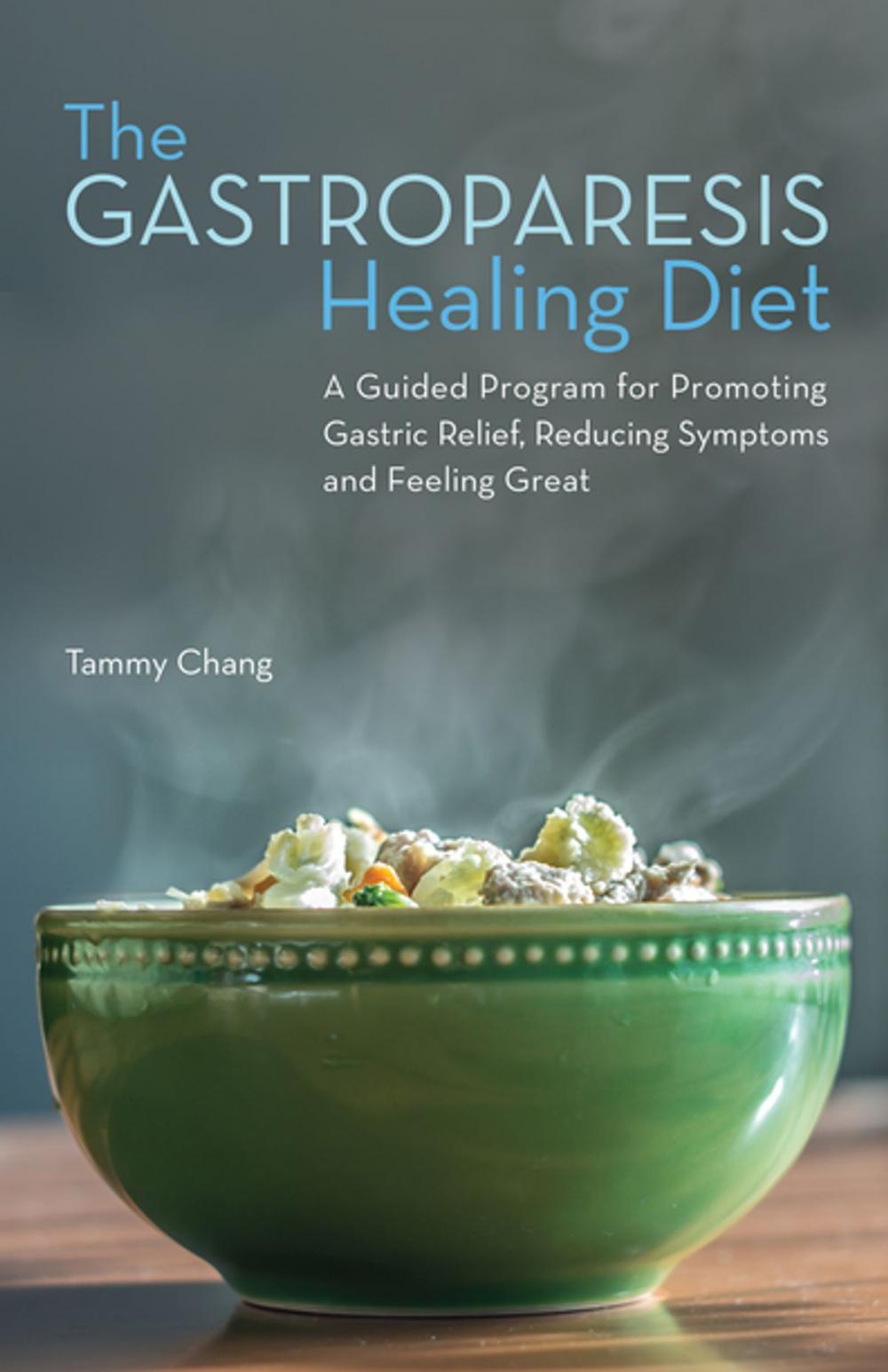 Big bigCover of The Gastroparesis Healing Diet