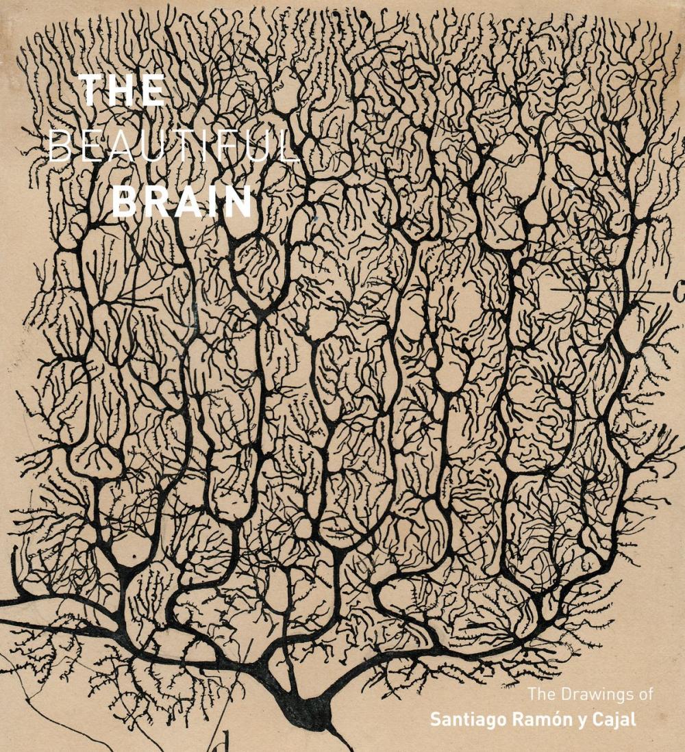 Big bigCover of The Beautiful Brain