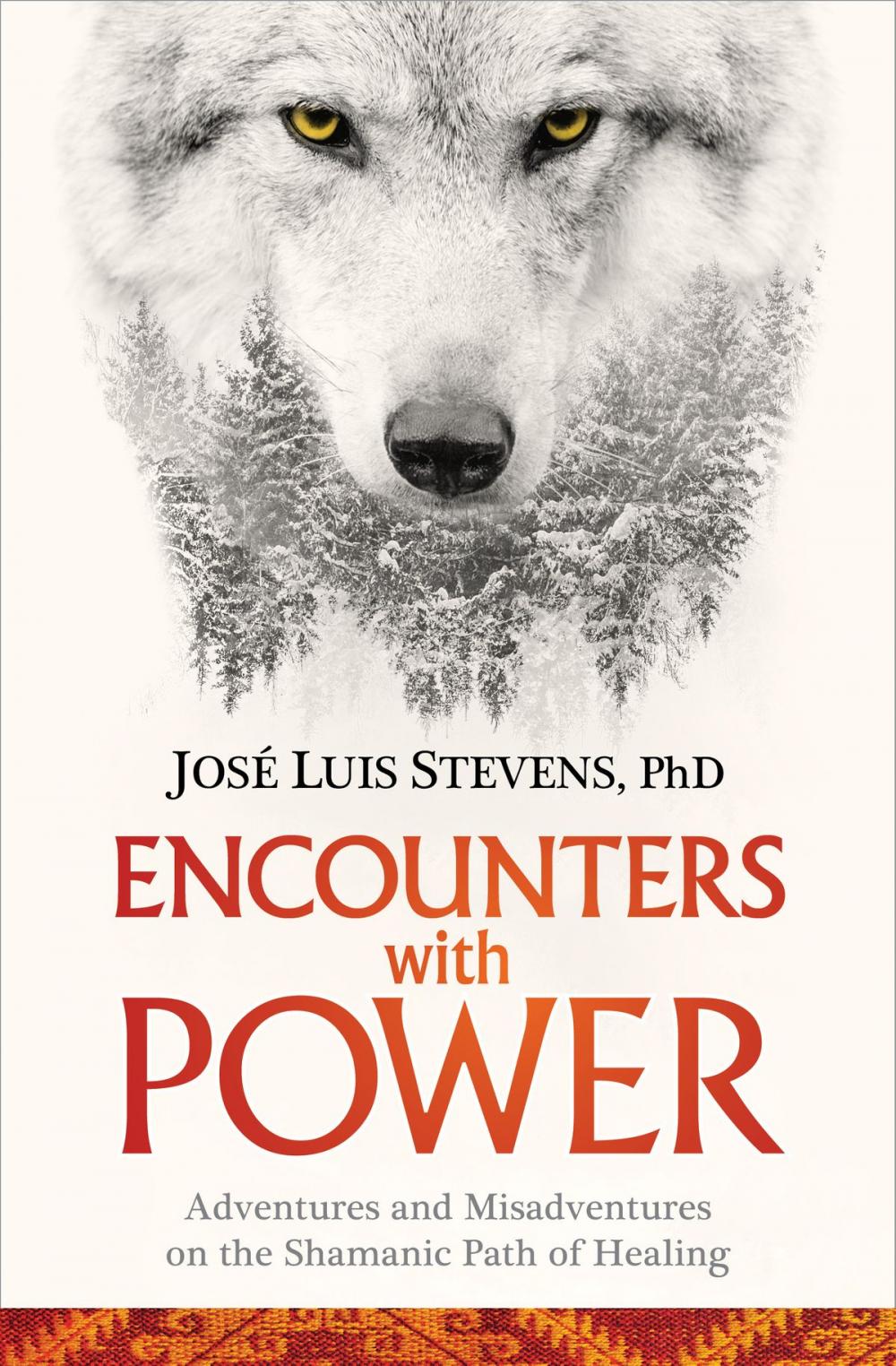 Big bigCover of Encounters with Power