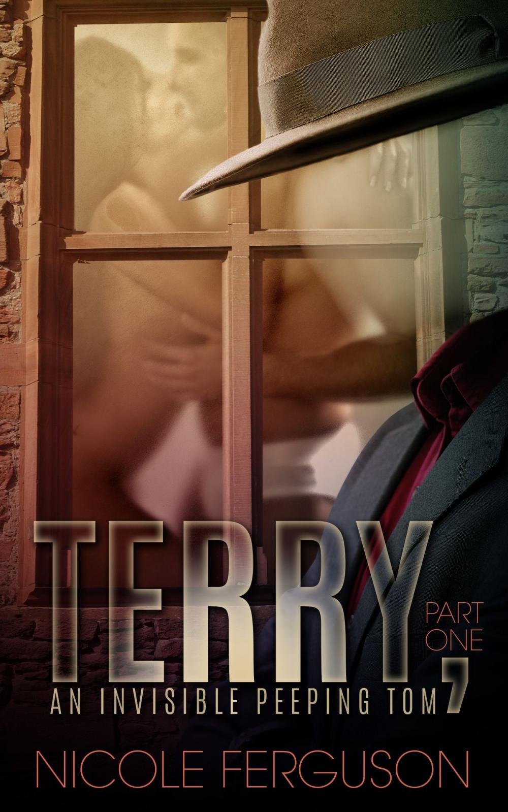 Big bigCover of Terry, An Invisible Peeping Tom: Part One