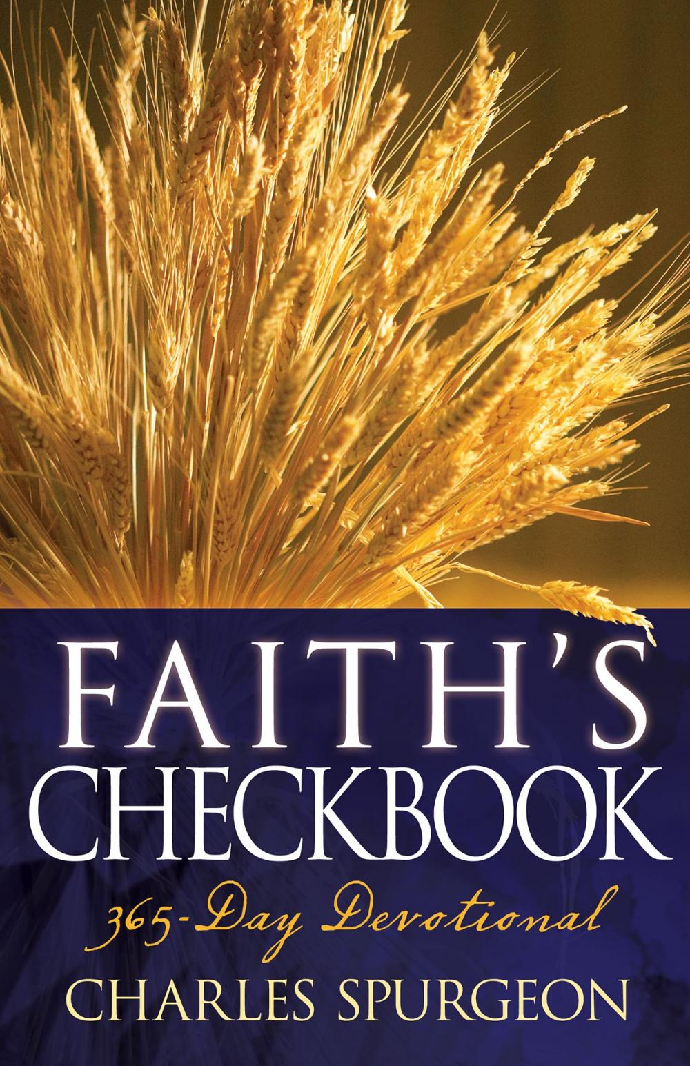 Big bigCover of Faith's Checkbook