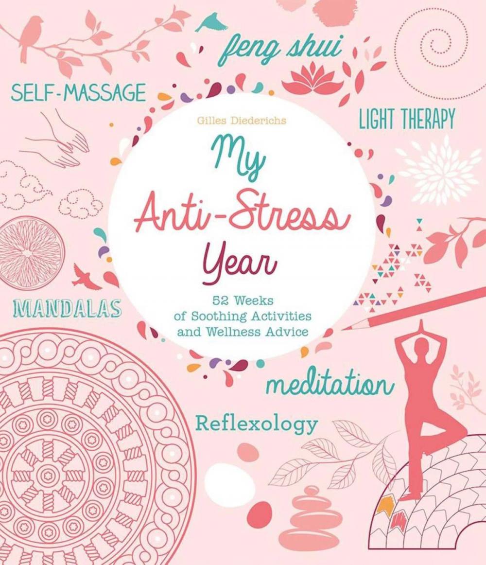 Big bigCover of My Anti-Stress Year