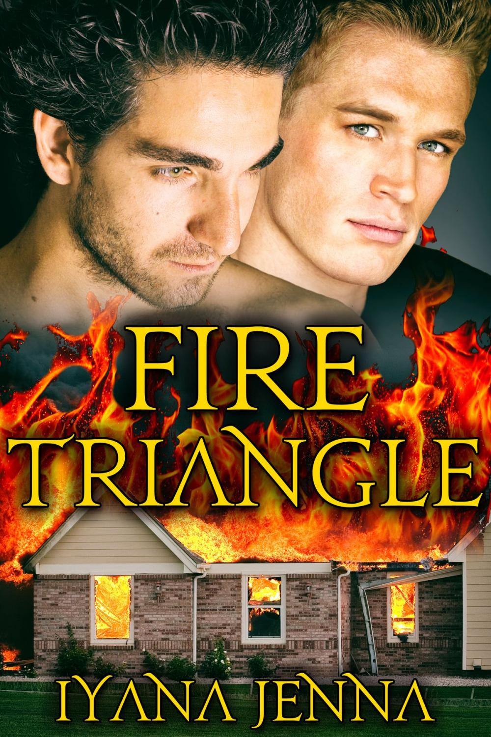 Big bigCover of Fire Triangle