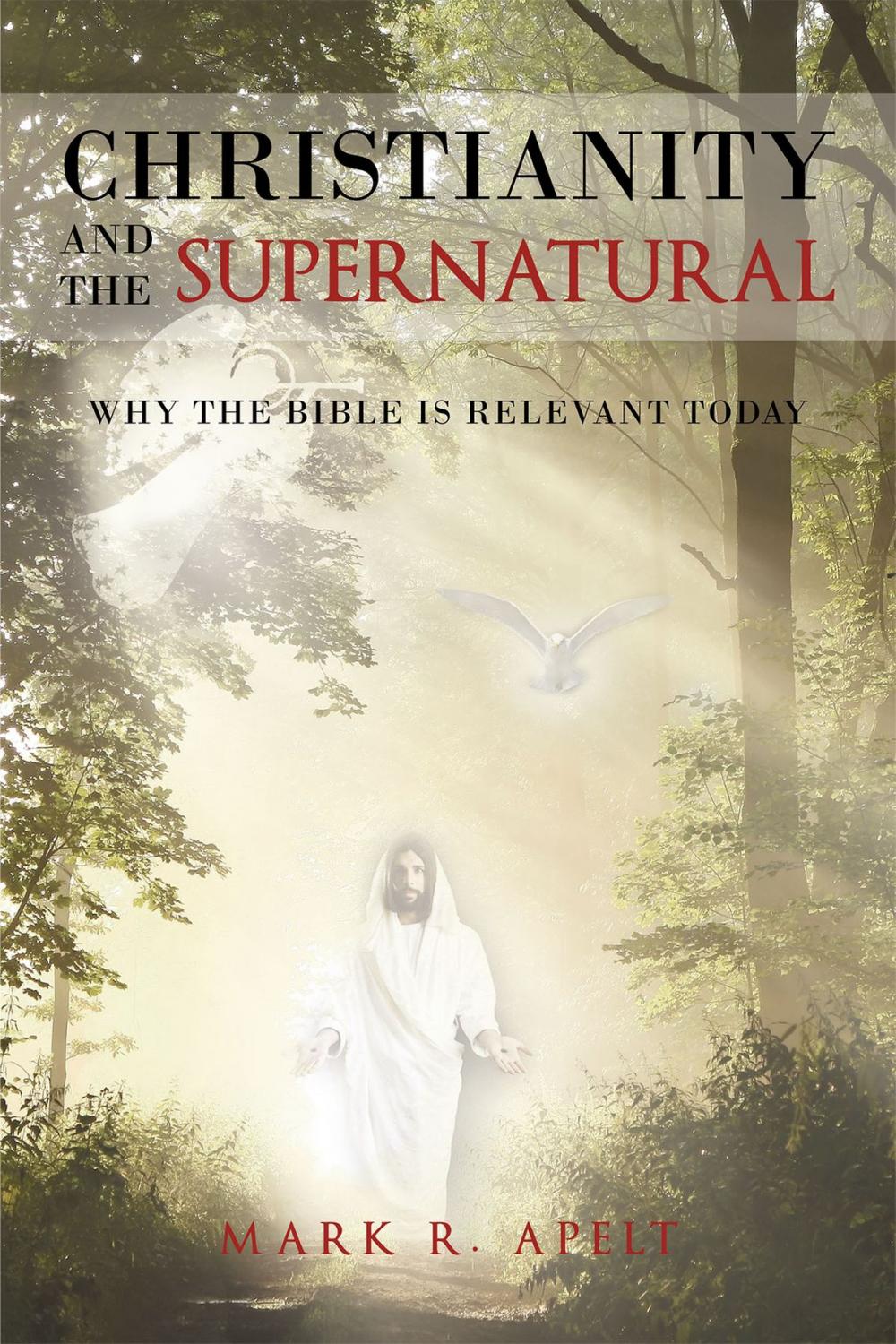 Big bigCover of Christianity And The Supernatural: Why the Bible is Relevant Today