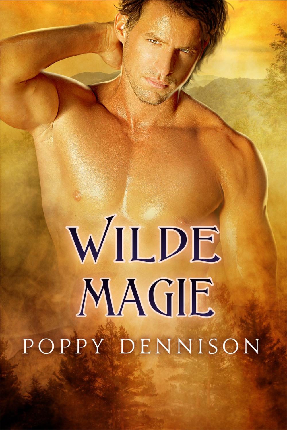 Big bigCover of Wilde Magie