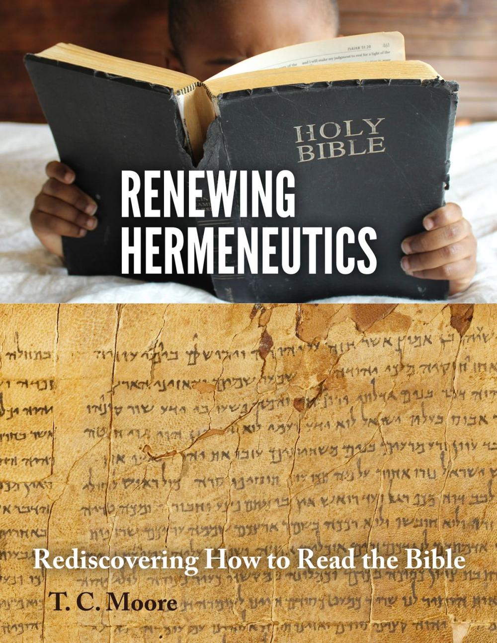 Big bigCover of Renewing Hermeneutics