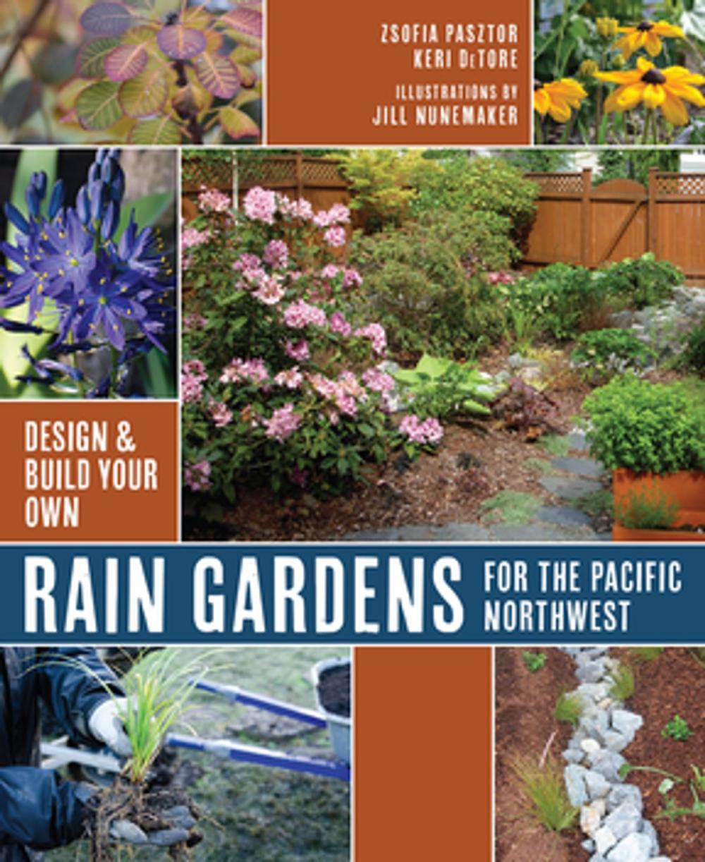 Big bigCover of Rain Gardens For the Pacific Northwest