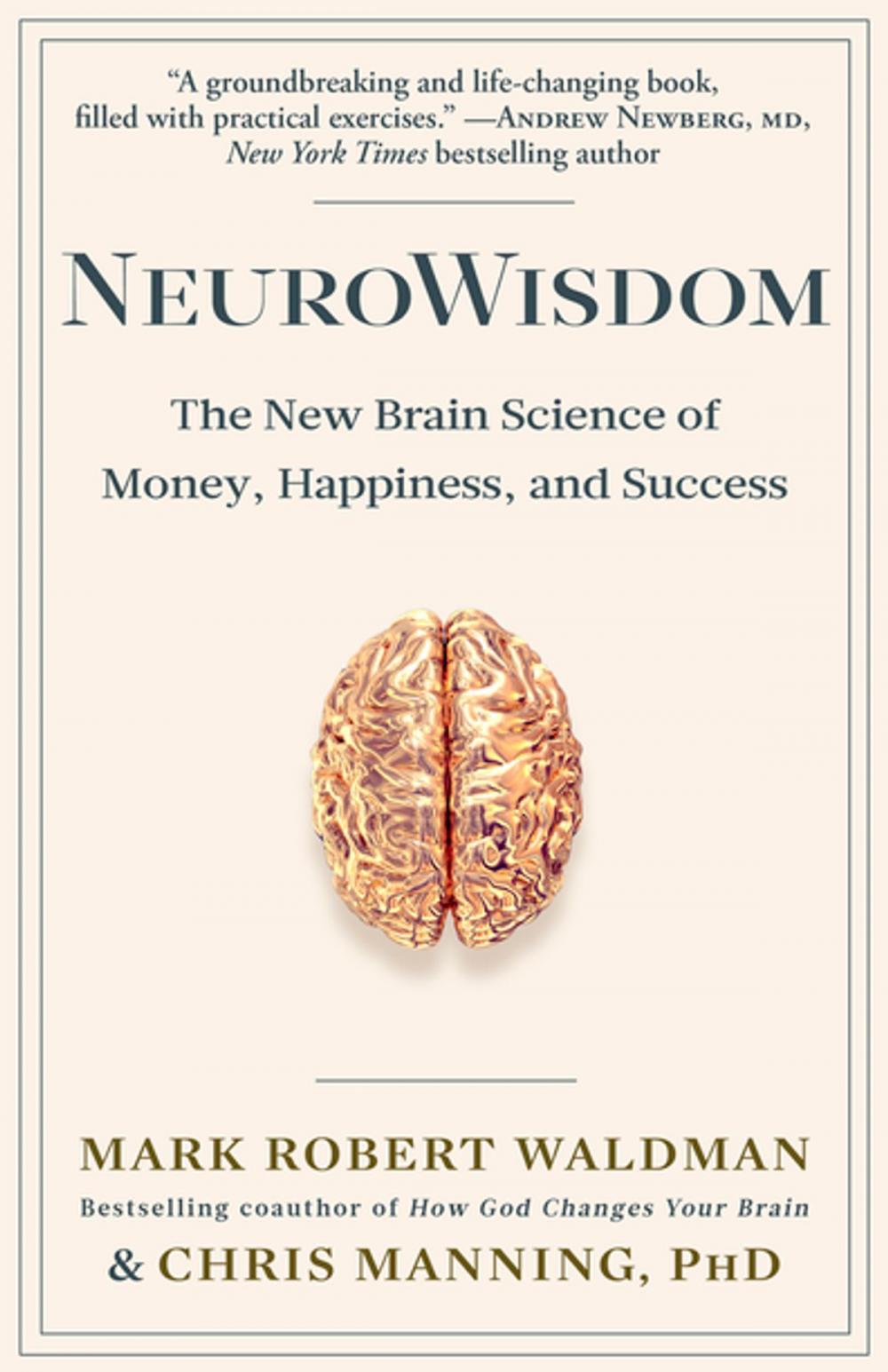 Big bigCover of NeuroWisdom