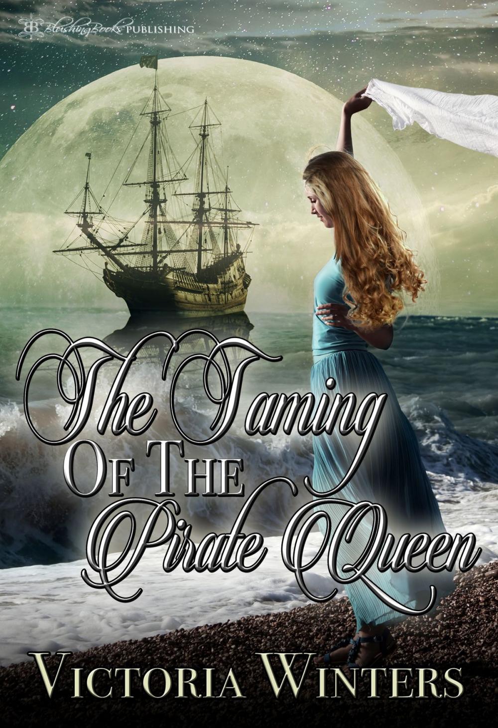 Big bigCover of Taming the Pirate Queen