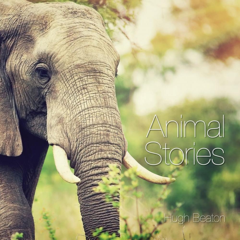 Big bigCover of Animal Stories