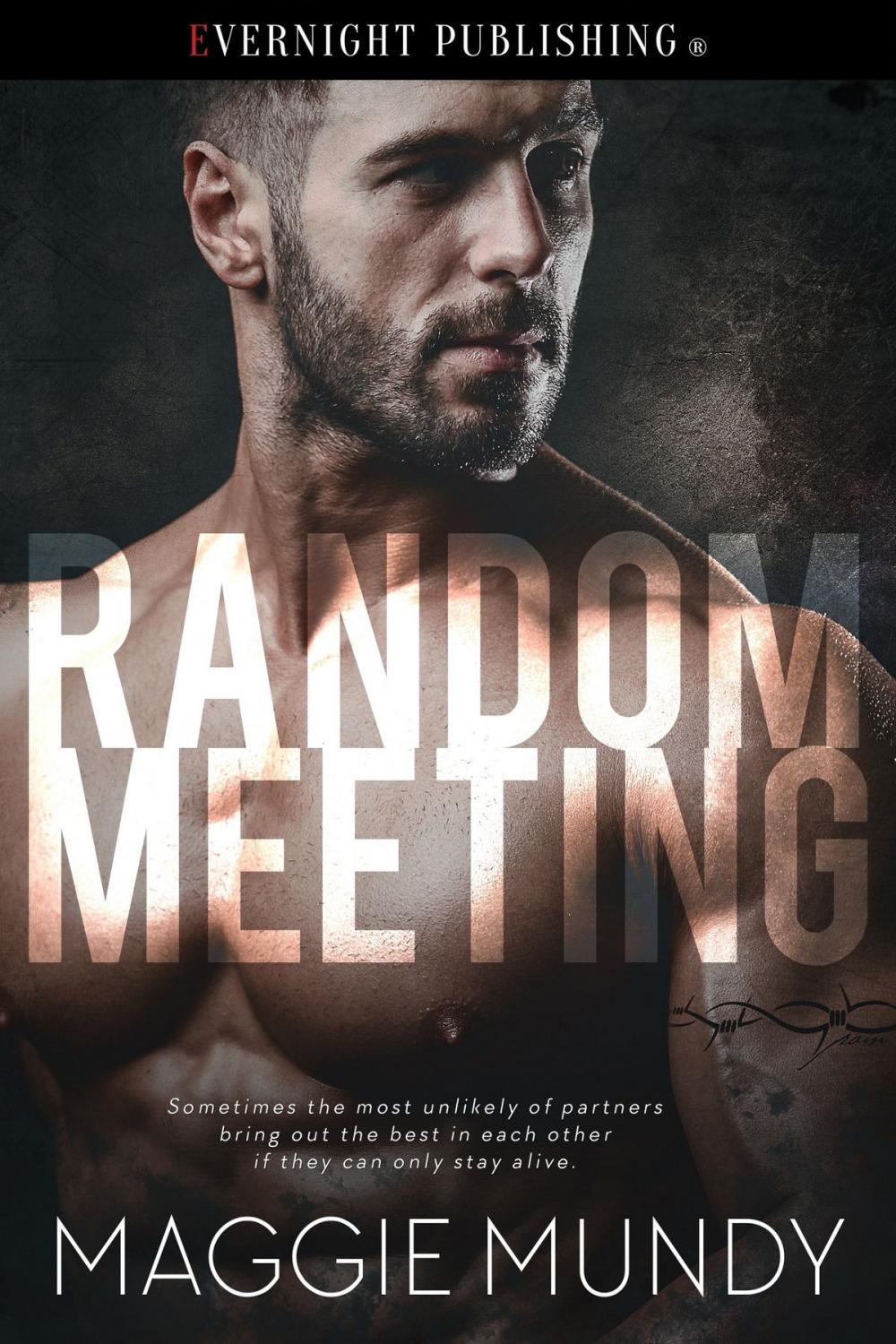 Big bigCover of Random Meeting