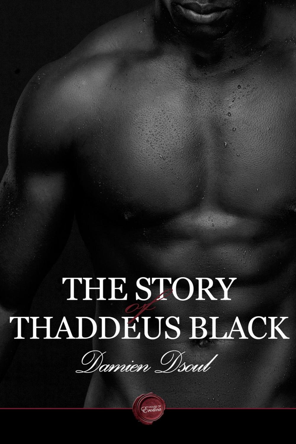 Big bigCover of The Story of Thaddeus Black