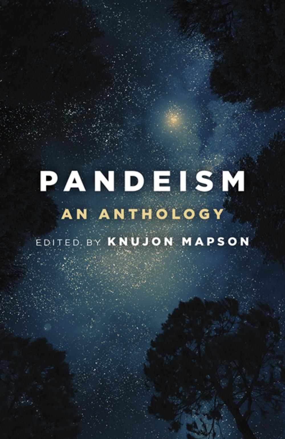 Big bigCover of Pandeism