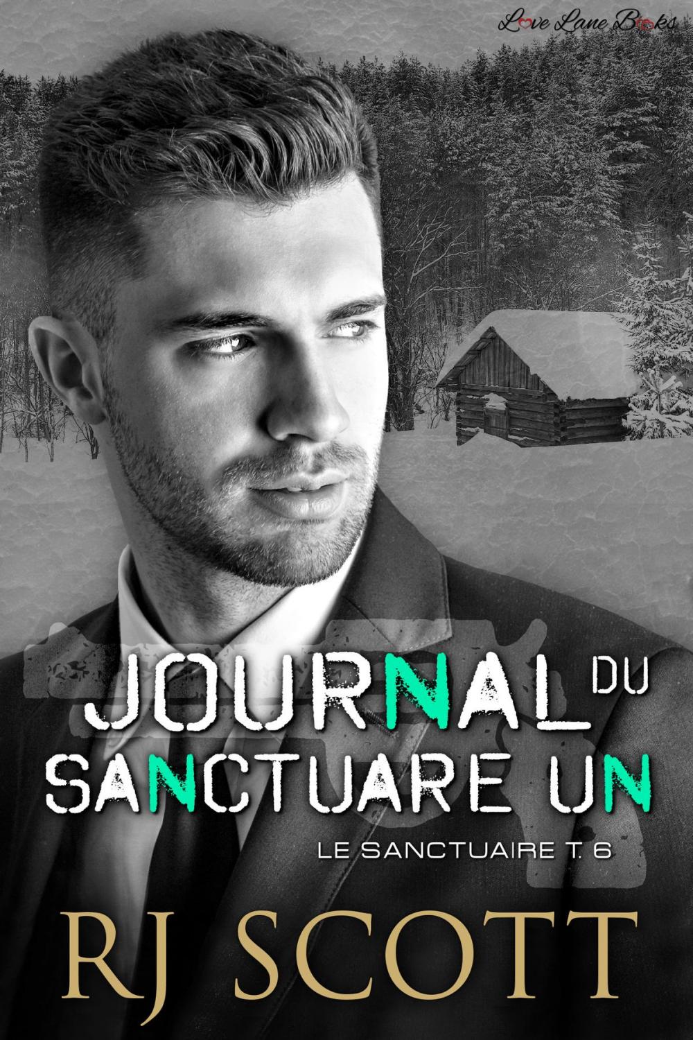 Big bigCover of Journal Du Sanctuaire Un