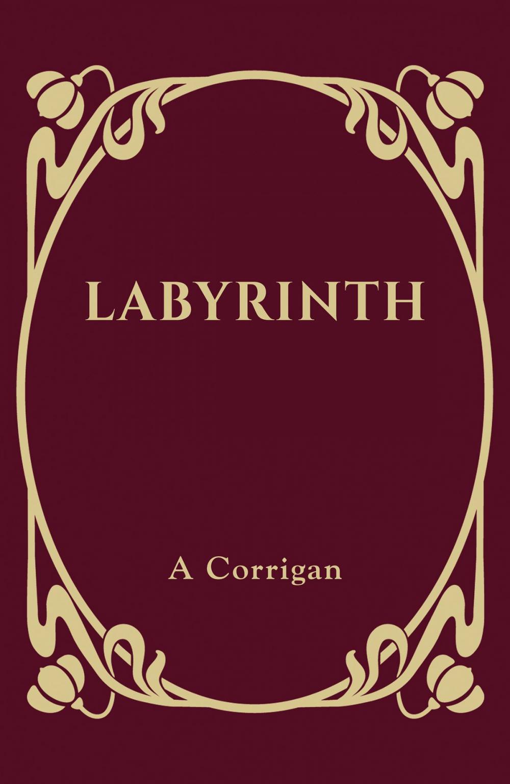 Big bigCover of Labyrinth