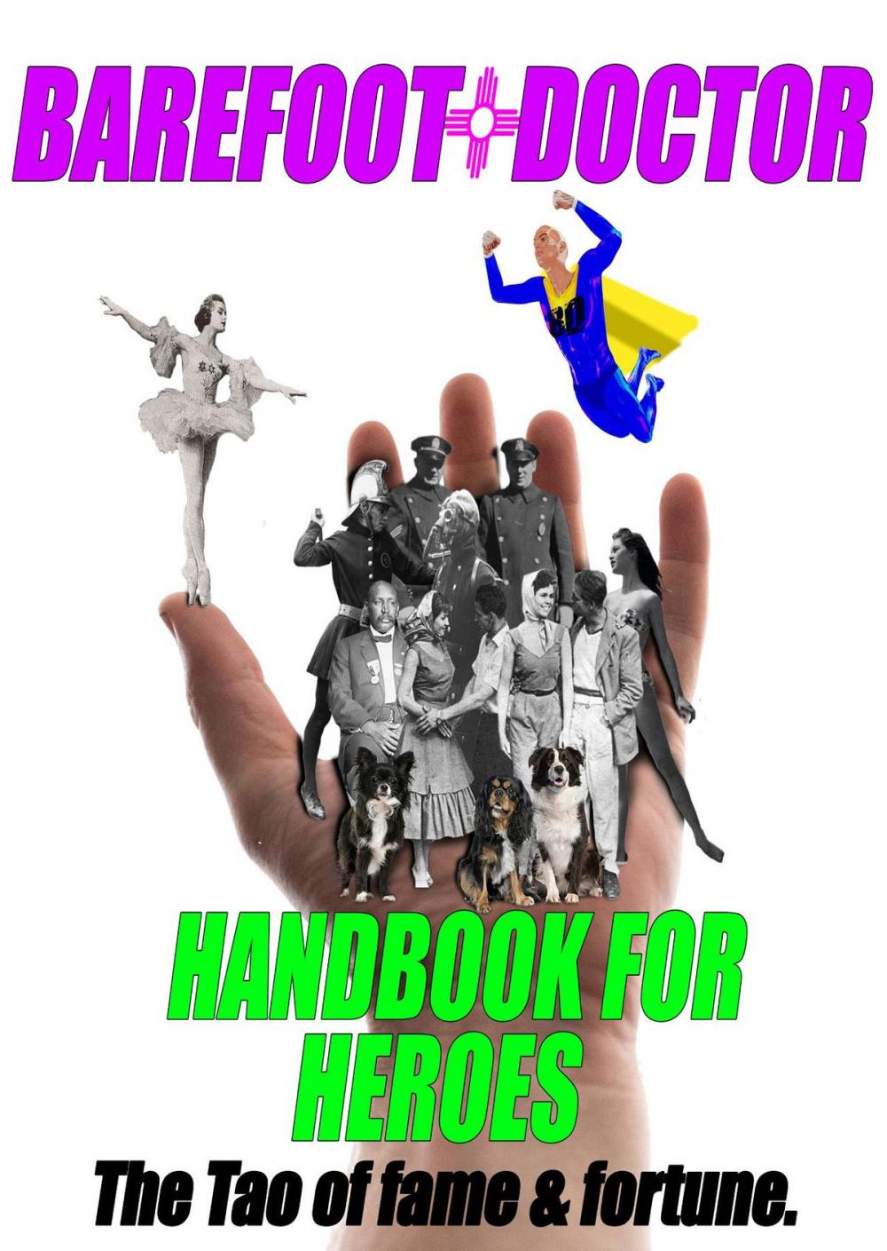 Big bigCover of Barefoot Doctor's Handbook for Heroes