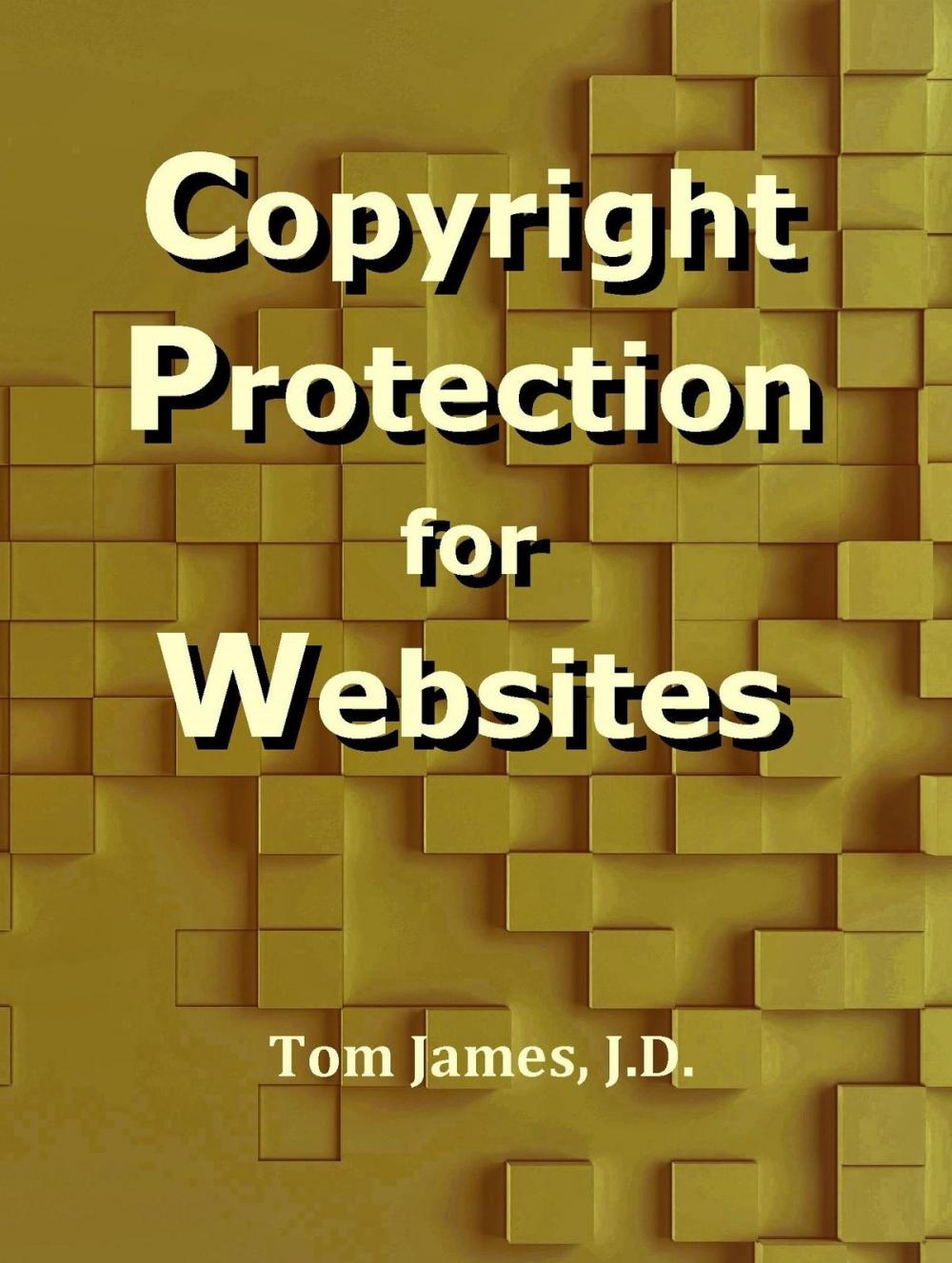 Big bigCover of Copyright Protection for Websites