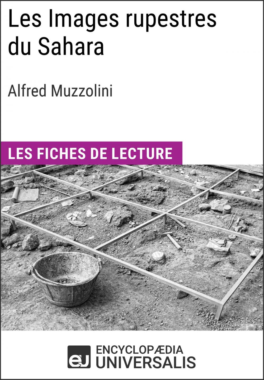 Big bigCover of Les Images rupestres du Sahara d'Alfred Muzzolini