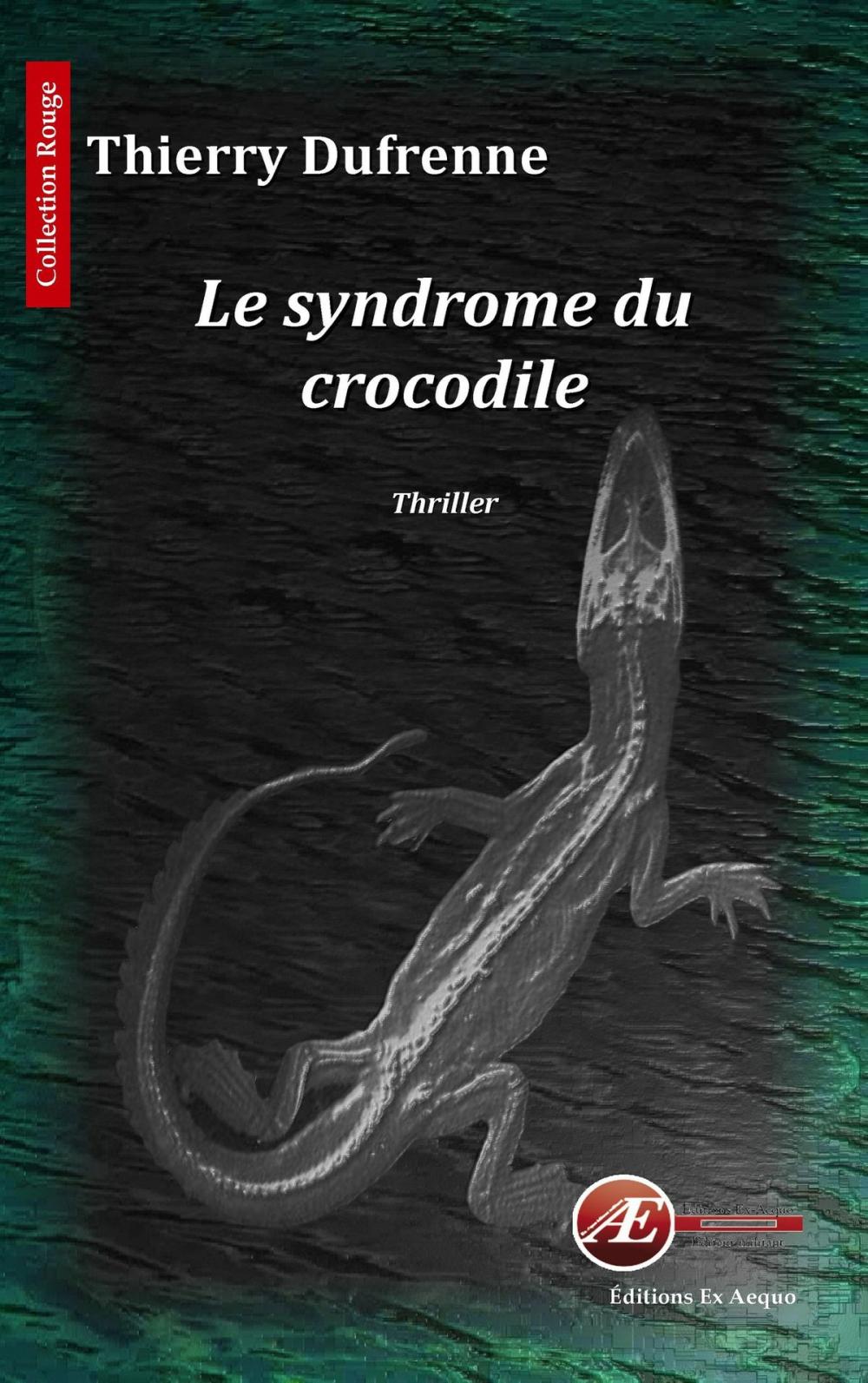 Big bigCover of Le syndrome du crocodile