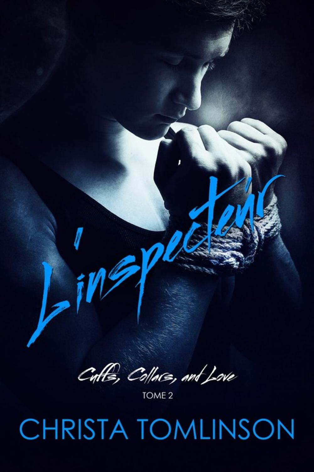 Big bigCover of L'inspecteur