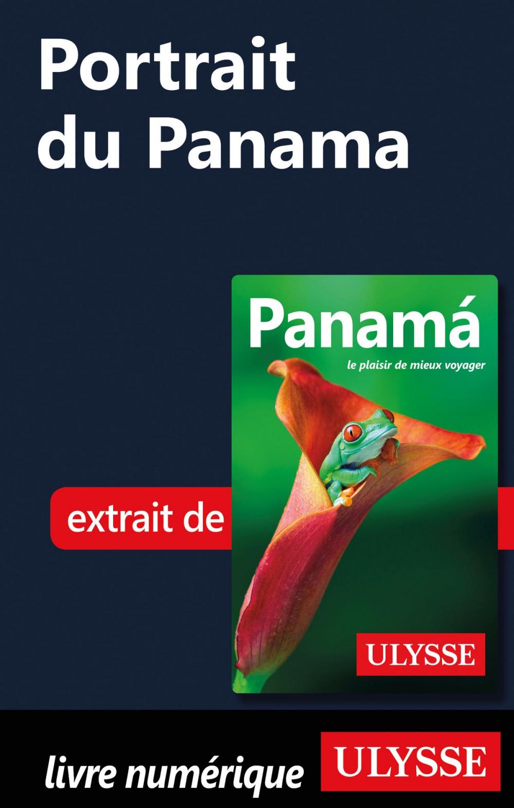 Big bigCover of Portrait du Panama