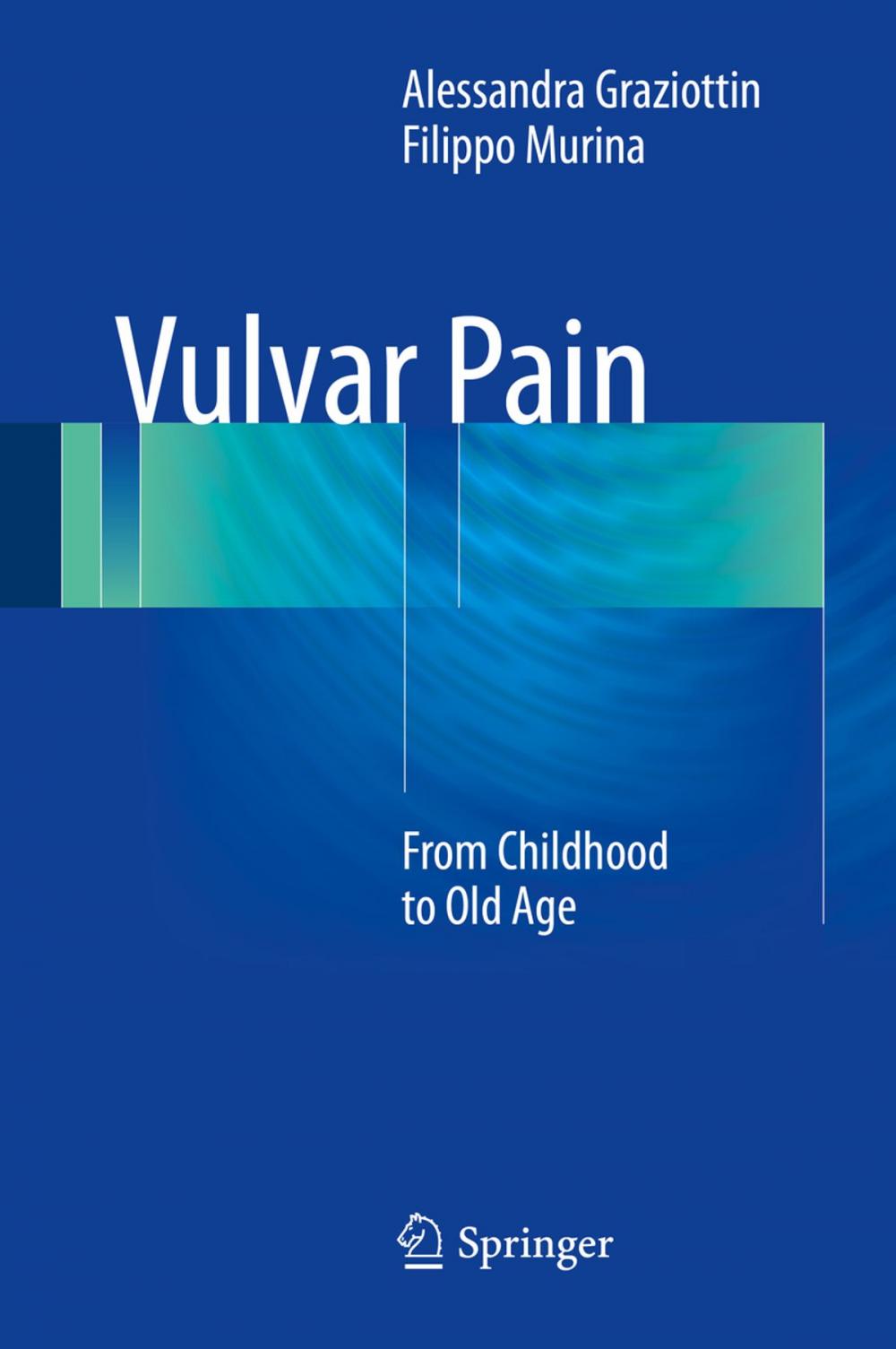 Big bigCover of Vulvar Pain