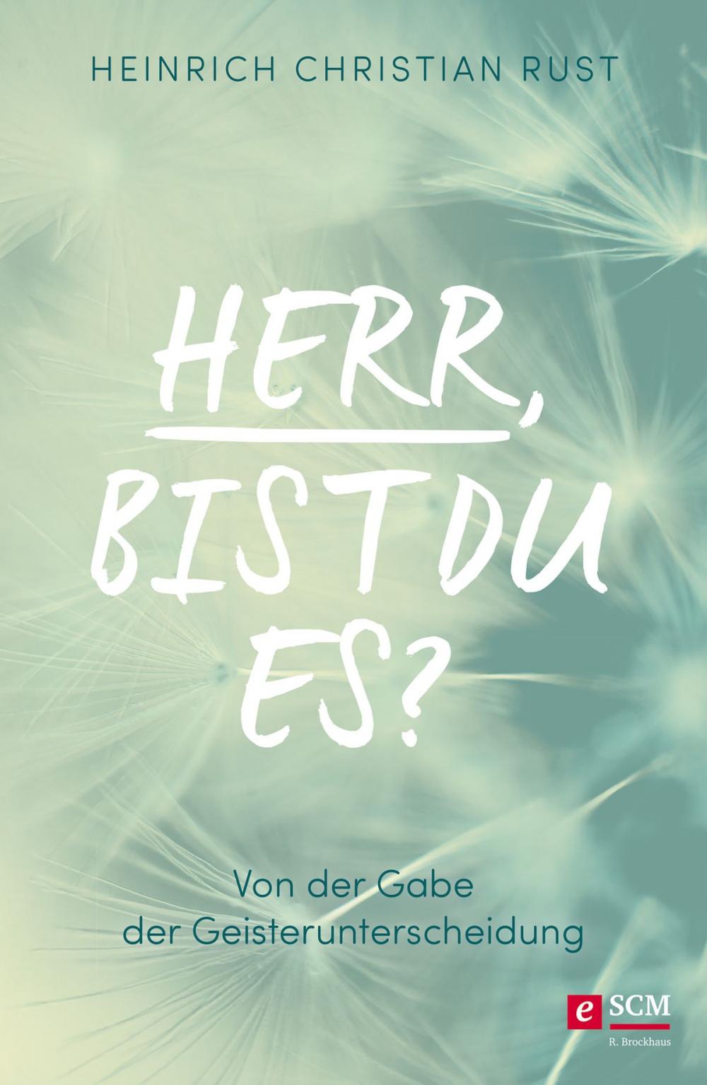 Big bigCover of Herr, bist du es?