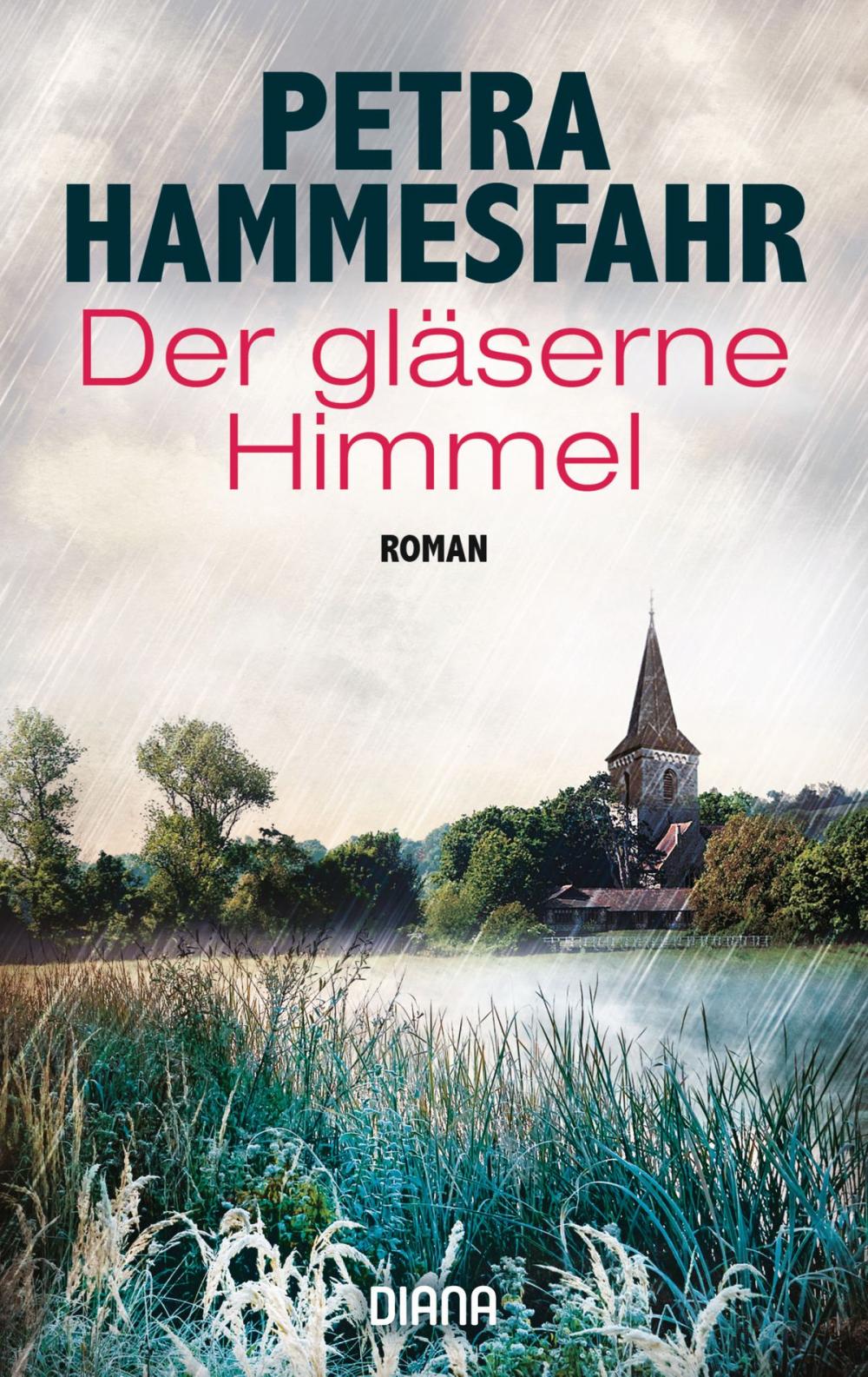 Big bigCover of Der gläserne Himmel