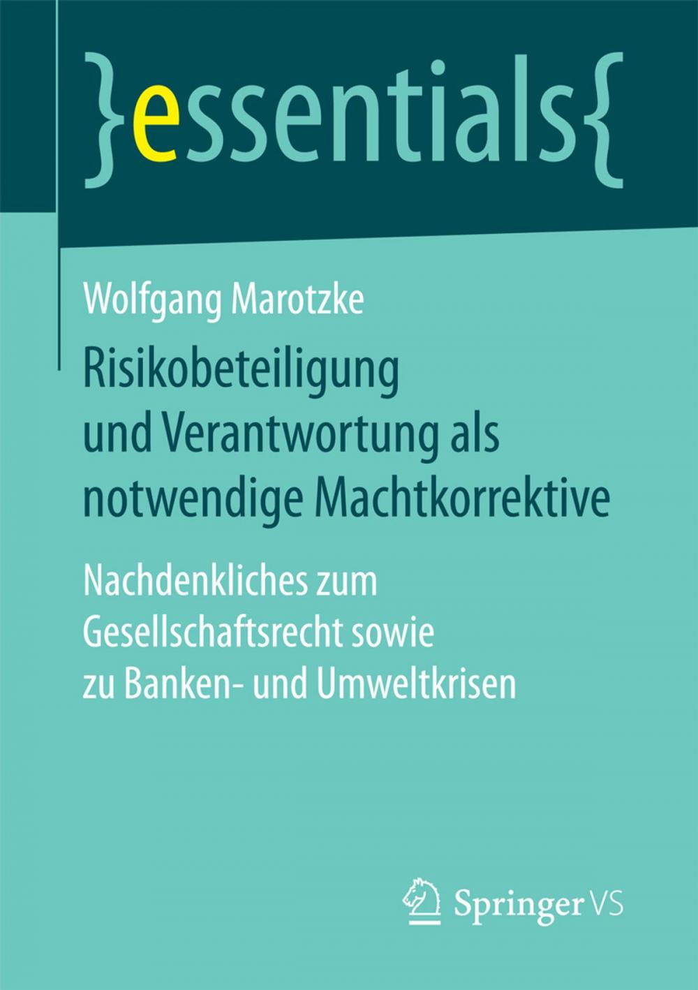 Big bigCover of Risikobeteiligung und Verantwortung als notwendige Machtkorrektive