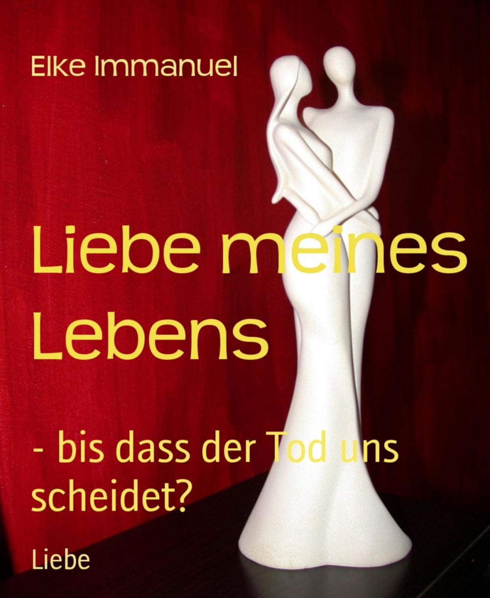 Big bigCover of Liebe meines Lebens