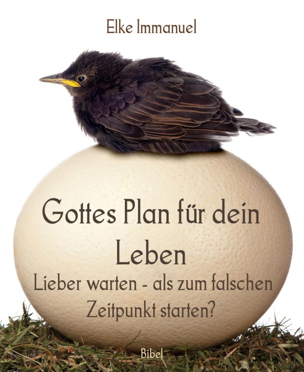 Big bigCover of Gottes Plan für dein Leben