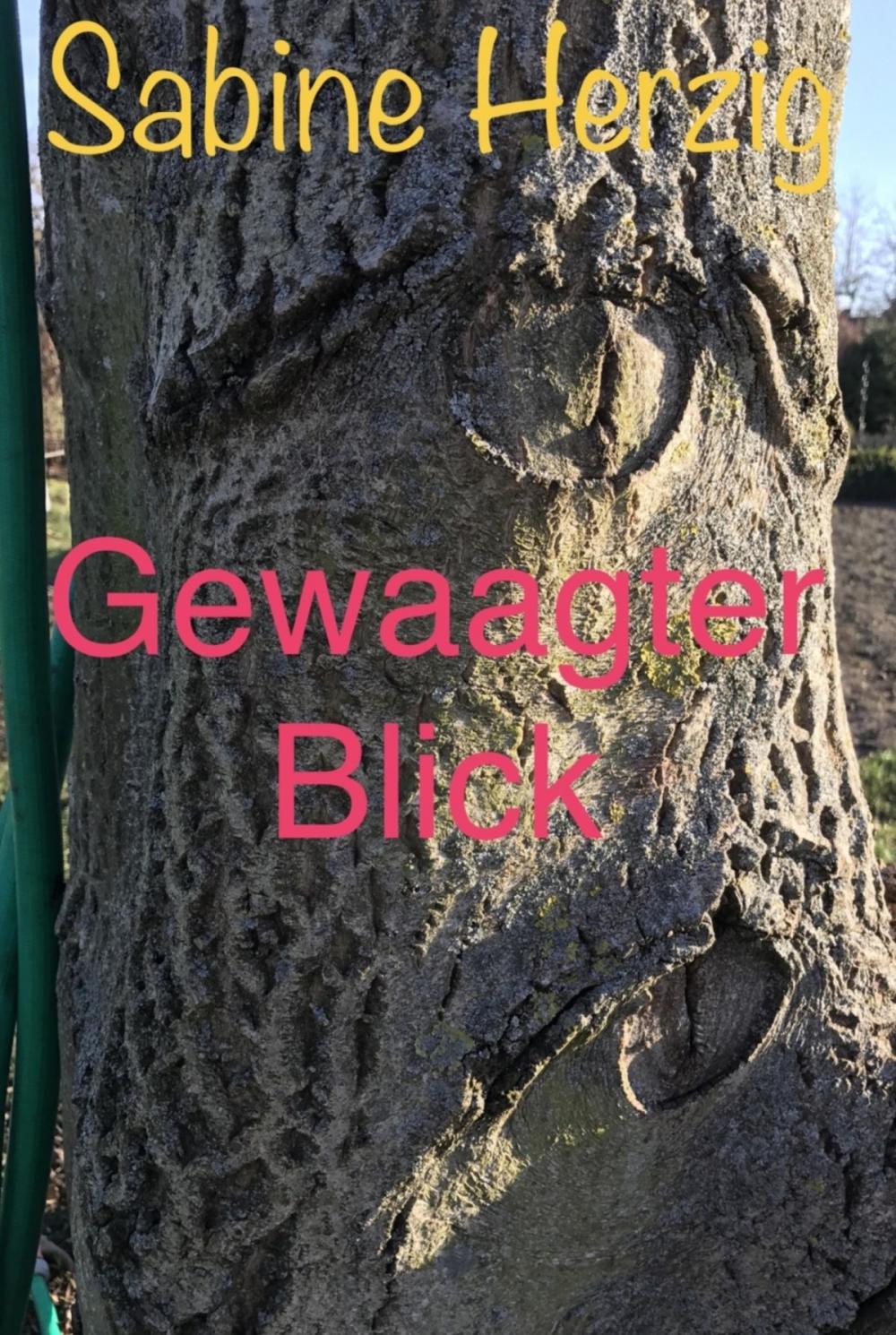 Big bigCover of Gewaagter Blick