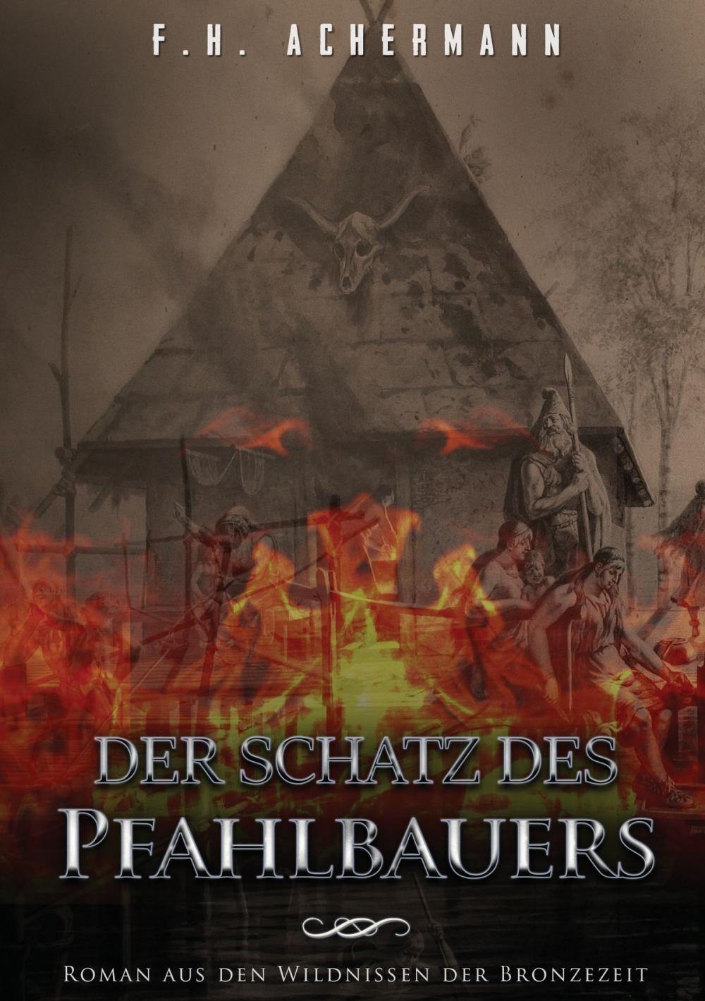 Big bigCover of Der Schatz des Pfahlbauers