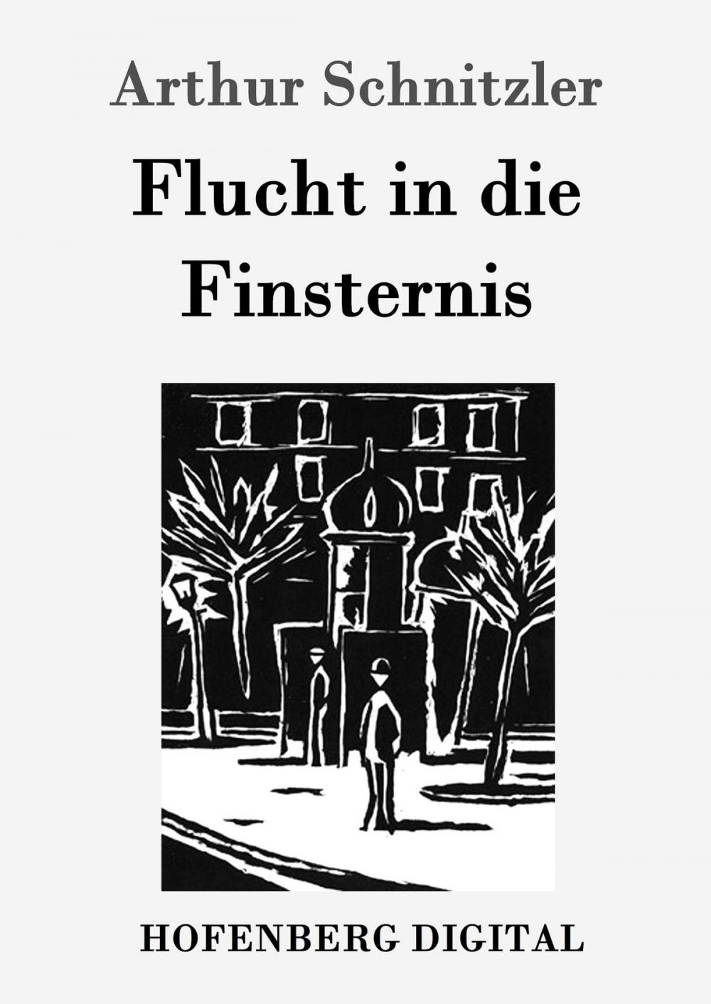 Big bigCover of Flucht in die Finsternis