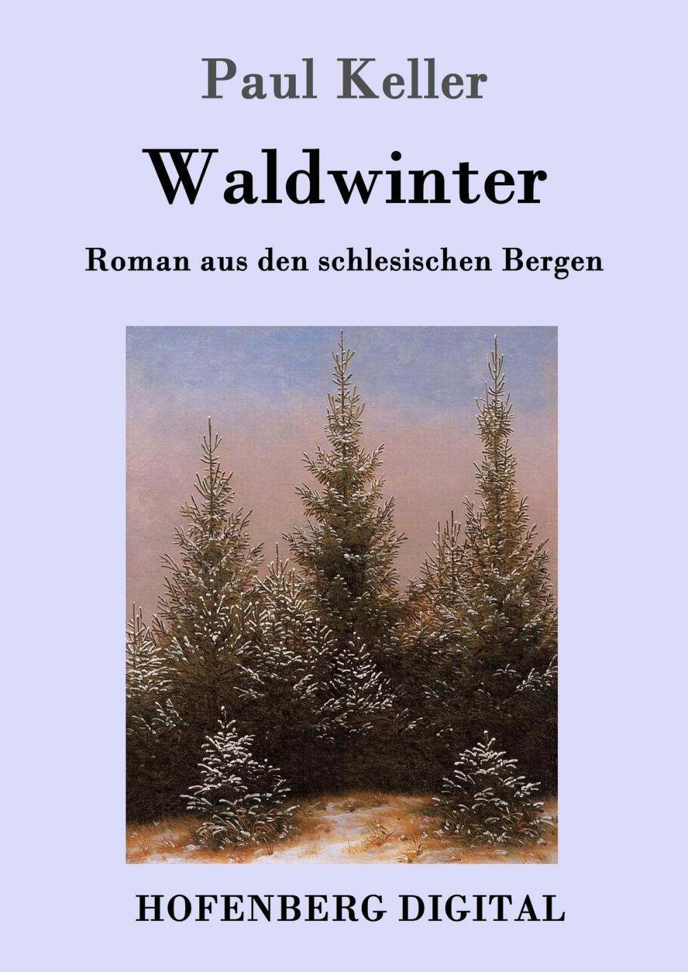 Big bigCover of Waldwinter